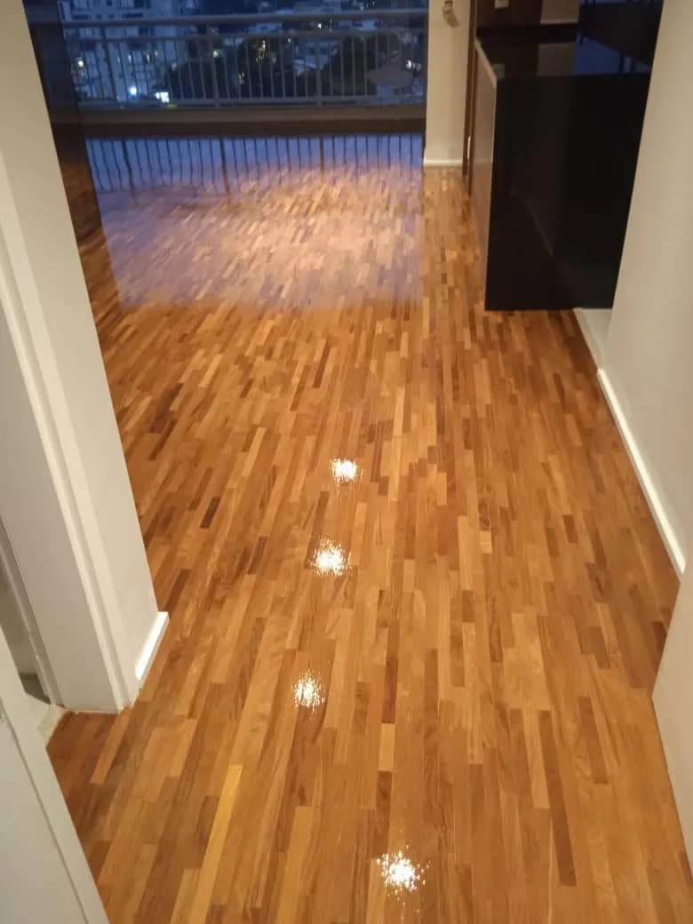 Assoalho de madeira brilhante em apartamento com vista para varanda